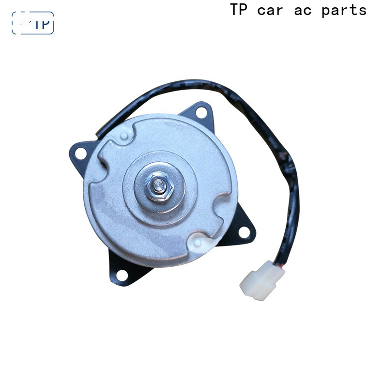 TP wholesale ac condenser fan motor for Crane